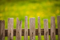 Verschillende soorten omheiningen voor een tuin