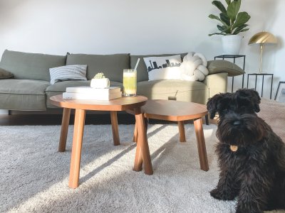 Verfraai je woonkamer met een prachtige koffietafel die gemaakt is voor jouw stijl